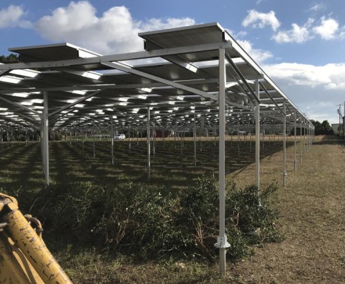 Agriculture Solar Farm Mounting Structure with Common Base